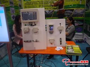 科技賦能 味蕾綻放——3000多項(xiàng)食用菌產(chǎn)品技術(shù)亮相青島會展，計(jì)量技術(shù)服務(wù)助力產(chǎn)業(yè)升級